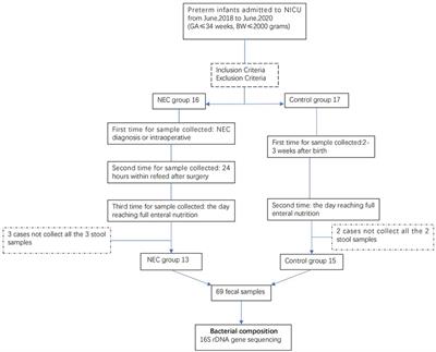 Alteration of the gut microbiota after surgery in preterm infants with necrotizing enterocolitis